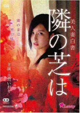 适合夫妻二人看电影韩剧推荐 黄金兄弟